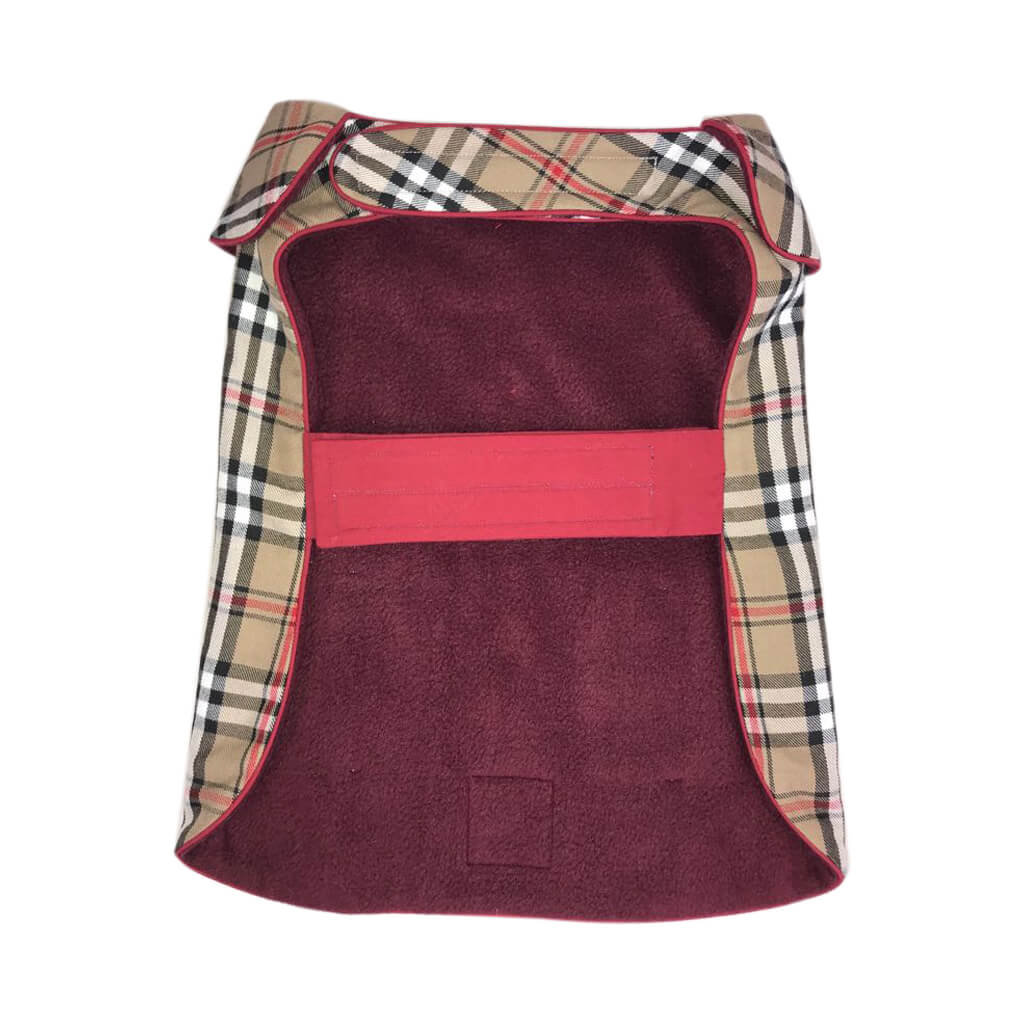 Scottish by Doggy Doo Little